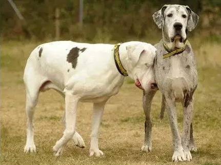 太阳集团tyc-国足25人名单大猜想:突出以老带新 上港或只剩颜骏凌一人?(图4) 太阳成集团tyc