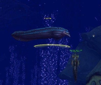 太阳成集团tyc|中国女足又添新军规:微博须禁言 违者即开除(图2) 太阳集团tyc