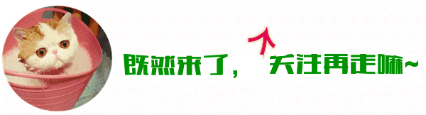 太阳成官网|未来是你们的!回首2019足坛十大最火新星(图1) 太阳集团tyc
