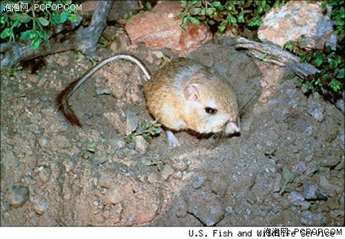 EXO携手《星球大战》发布新曲《Light Sabre》进行宣传_太阳成官网(图4) 太阳成官网