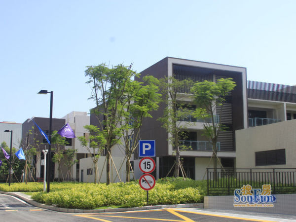 生死大战国足无奈现后卫荒 正牌中卫全有伤在身:太阳集团tyc(图1) 太阳成集团tyc