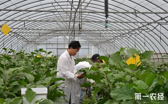 我国现阶段行业收入与经济增长的灰色关联度分析‘太阳成集团tyc’(图1) 太阳成官网