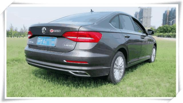 维普达—猫咪口腔炎“太阳成集团tyc”(图1) 太阳成集团tyc