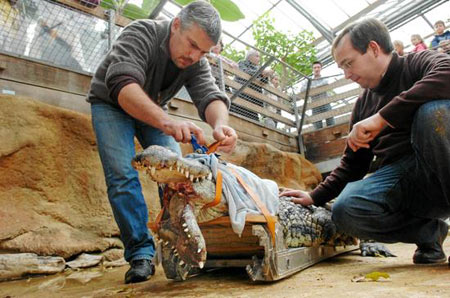 浅谈我国中小型企业的融资-太阳集团tyc(图3) 太阳成官网