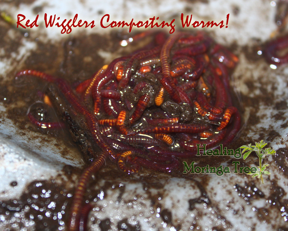 55届百想艺术大赏电视剧提名名单 从作品到演员都是大势竞争激烈|太阳成官网(图1) 太阳成官网