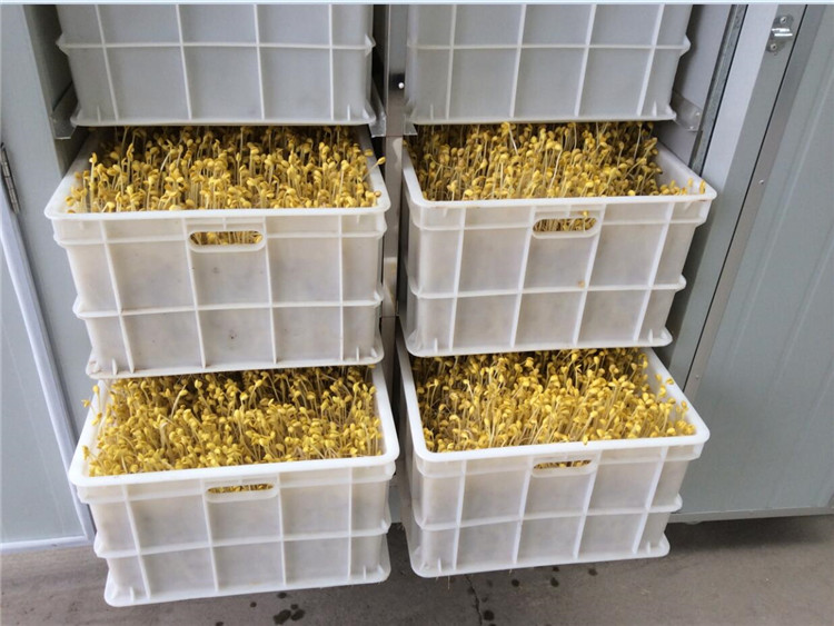 浅谈“伤痕美术”对中国美术发展的重要影响_太阳集团tyc(图1) 太阳成官网