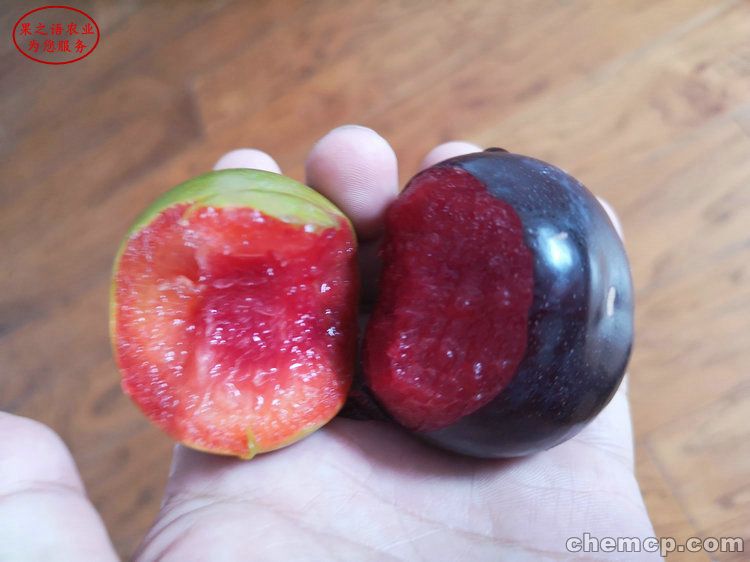 缅怀天王 杰克逊纪录片明日零点首映-太阳成集团tyc(图1) 太阳成集团tyc