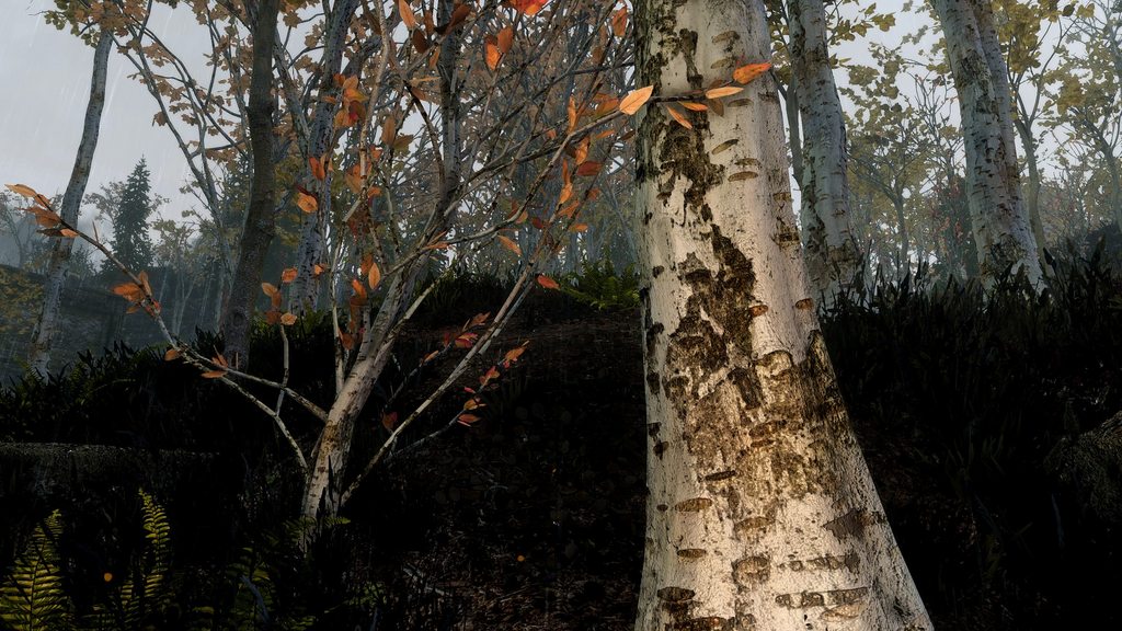 德国足协主席力挺勒夫:现在是人员变动的最佳时机_太阳成官网(图1) 太阳成官网