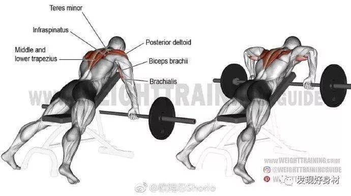 
20岁宁夏小伙练就一身肌肉,收获迷妹无数!_太阳成集团tyc(图24)