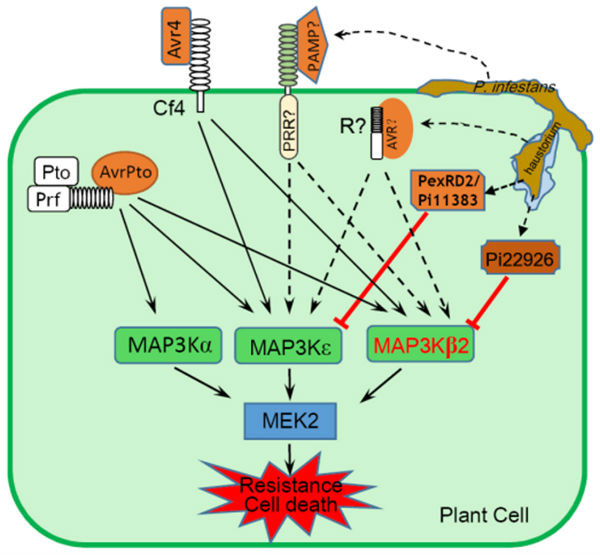 少女时代允儿5月刊性感画报乍一看还以为是f(x)Krystal?|太阳集团tyc(图2) 太阳成集团tyc