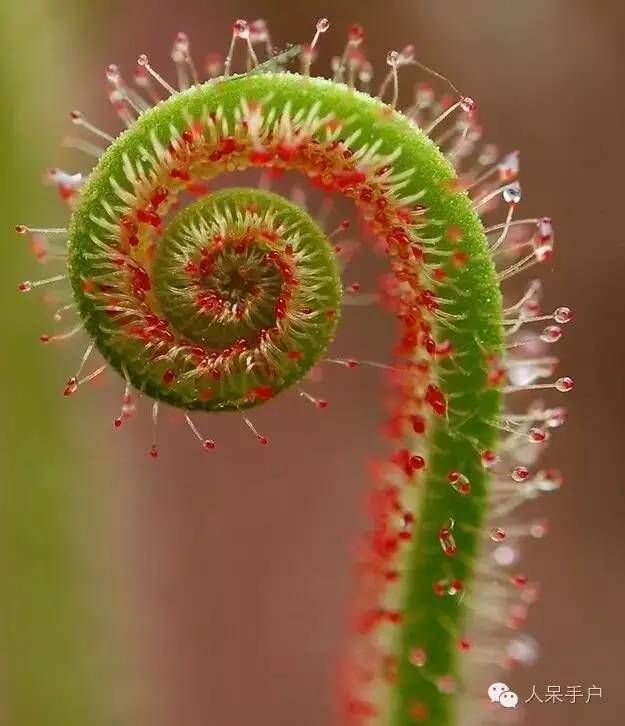 厦门:太阳成官网(图2) 太阳成官网