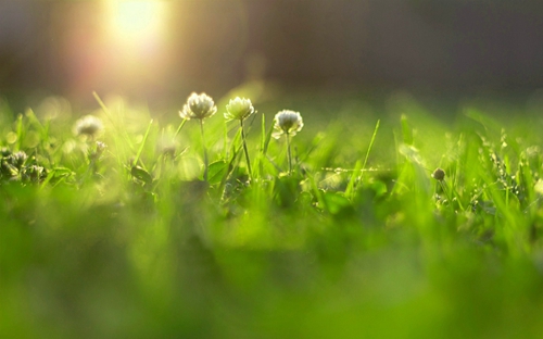 太阳成官网:为何要给“二当家”奥多姆打上淫雄烙印?(图1) 太阳成官网