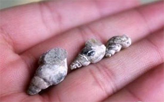 试论工程造价在施工招投标阶段的控制‘太阳集团tyc’(图2) 太阳成集团tyc