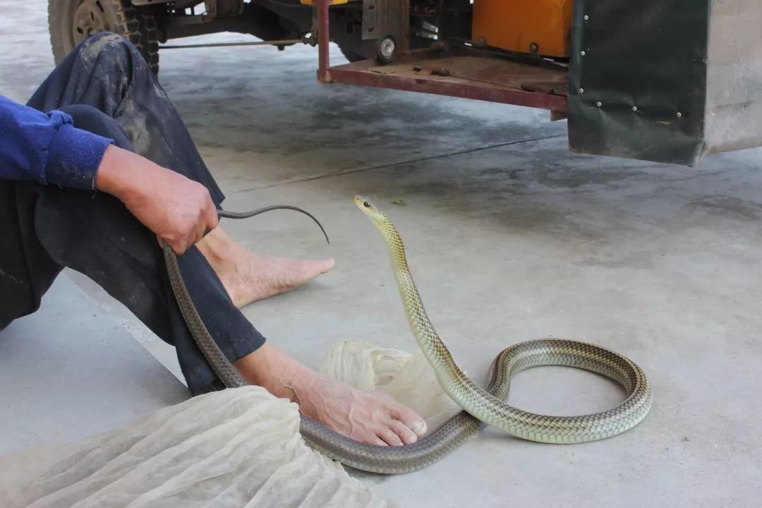 高校竞赛知几多“太阳成官网”(图2) 太阳成集团tyc