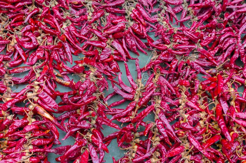 雪莉应援IU!参与《德鲁纳酒店》的拍摄 公开两人合影‘太阳成官网’(图1) 太阳成集团tyc