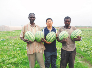 雪莉应援IU!参与《德鲁纳酒店》的拍摄 公开两人合影‘太阳成官网’(图2) 太阳成集团tyc