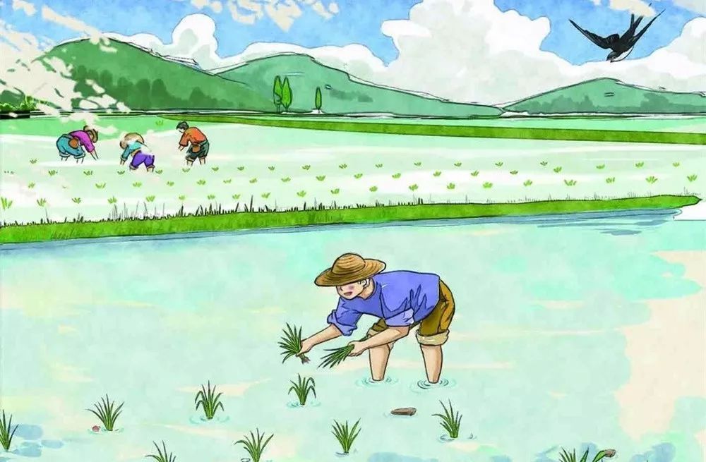 ‘太阳成集团tyc’姜至奂因涉嫌性侵被经纪公司解约 仅签约两个月(图1) 太阳集团tyc