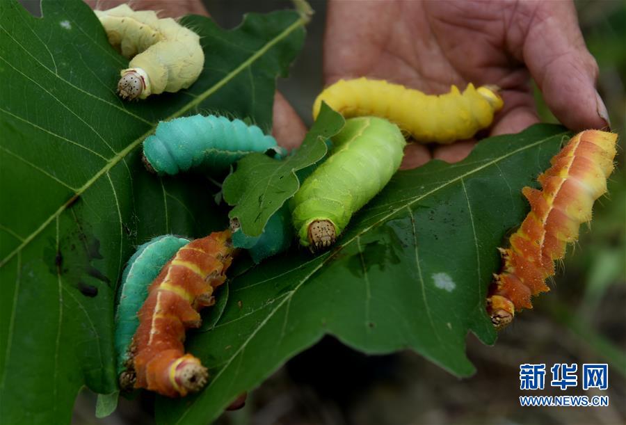 EXO全新小分队来袭!朴灿烈-吴世勋DUO确定7月发表新专辑‘太阳成官网’(图1) 太阳成官网