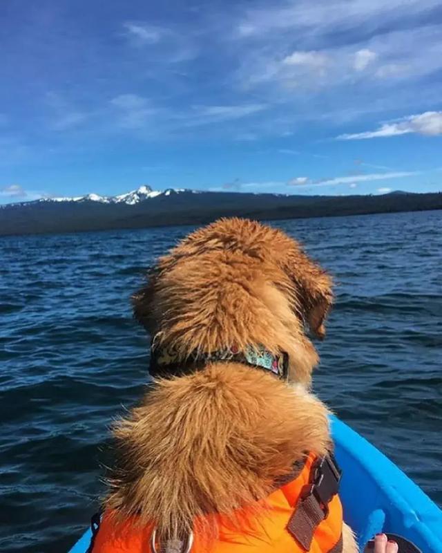 “太阳成官网”
严格教师准入 严禁提前教学 加速学前教育立法——国务院关于学前教育事业革新和生长情况的陈诉(图1) 太阳成官网