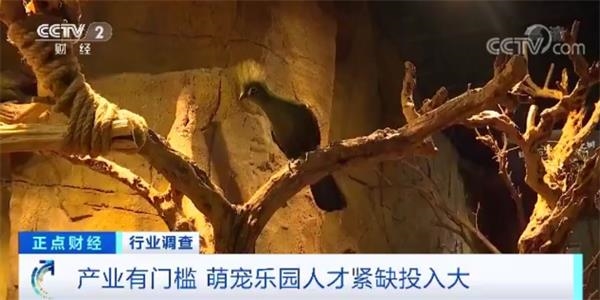 亚运会举重冠军突发重病 妻子捡废品凑钱住院_太阳成集团tyc(图1) 太阳成官网