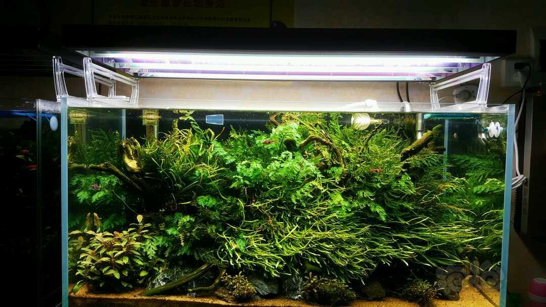 超期待!金所泫-张东润新剧《绿豆传》欢乐来袭-太阳集团tyc(图2) 太阳成官网