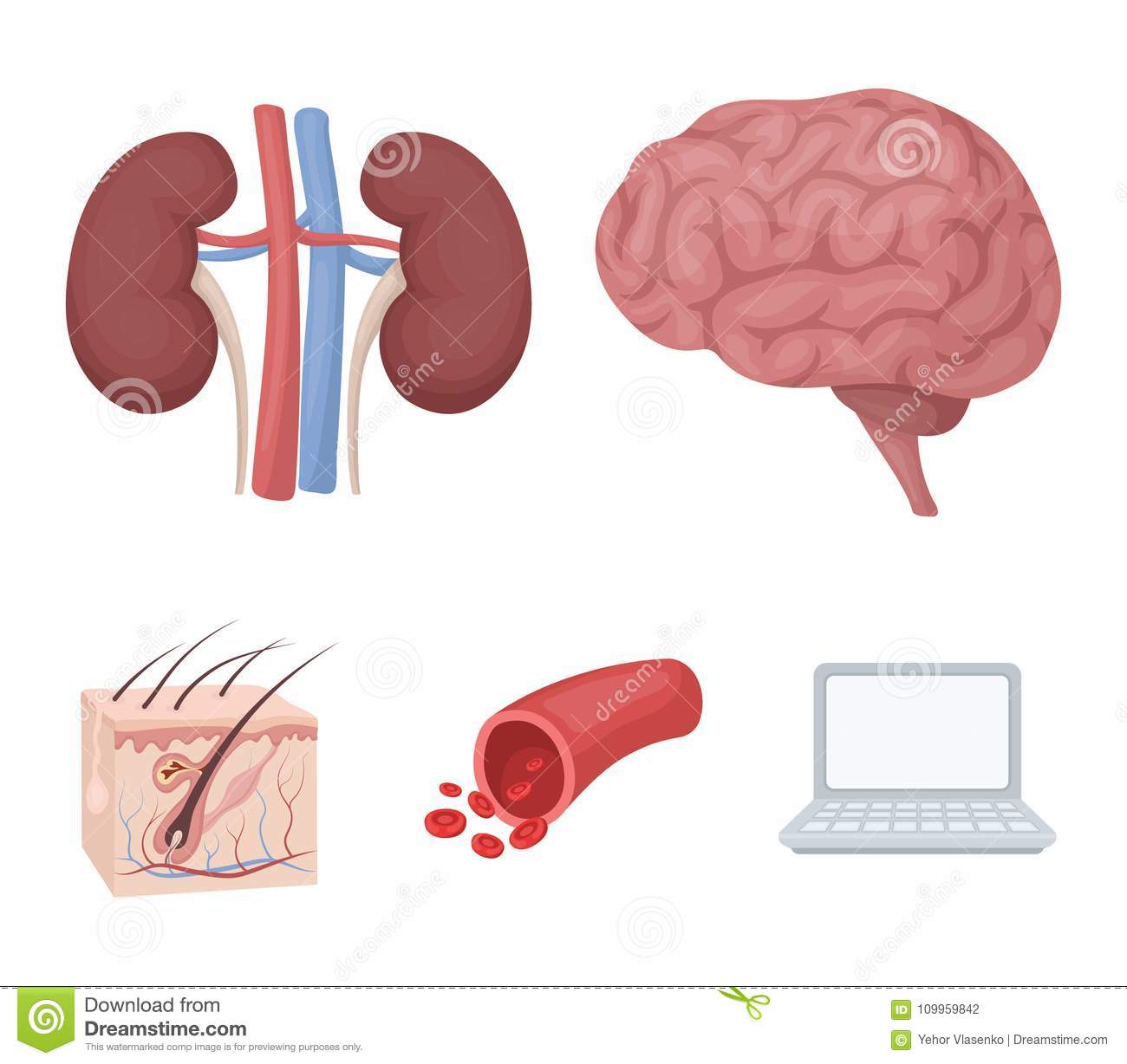 【太阳成官网】最新!NBA新赛季赛程出炉,揭幕战洛城之战,全美直播,同盟第一(图2) 太阳集团tyc