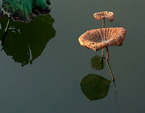 京媒:里皮执教国足已毫无办法 现在纯粹混日子-太阳成官网(图1) 太阳集团tyc