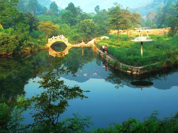 太阳成集团tyc|里皮今年率国足10战仅获三胜 亚洲杯很难进四强(图1) 太阳成集团tyc