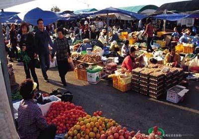 “太阳集团tyc”
16岁日本乒乓天才 怙恃曾是中国乒坛冠军 退役后举家入籍日本(图3) 太阳成集团tyc