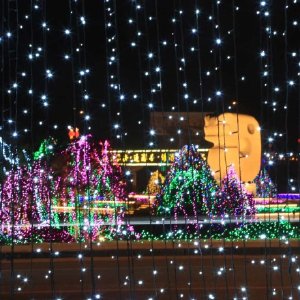 外媒称哈里王子全裸因在玩“脱衣台球”游戏‘太阳成集团tyc’(图3) 太阳成官网