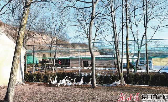 外媒称哈里王子全裸因在玩“脱衣台球”游戏‘太阳成集团tyc’(图2) 太阳成官网