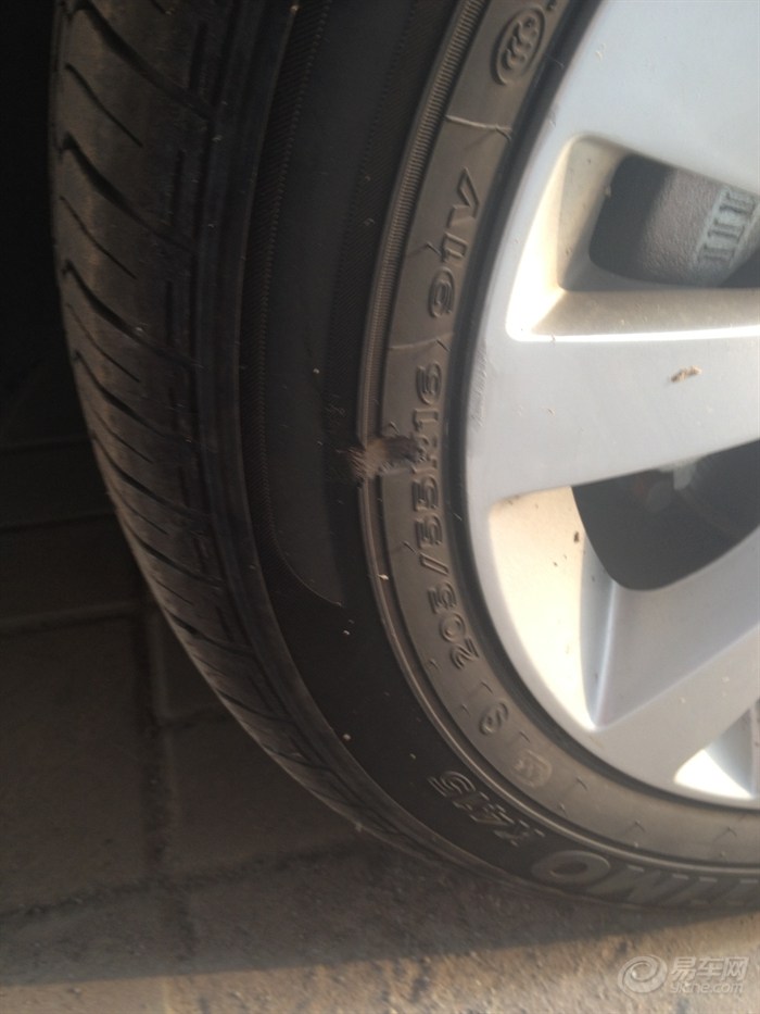 太阳成集团tyc-经济下行,对宠物行业的影响究竟有多大?(图3) 太阳集团tyc