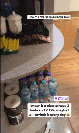 
威海世界杯即将开打！乒乓球运发动旅店内景曝光 行李全方位杀毒-太阳成官网(图11)