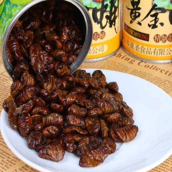 太阳成官网