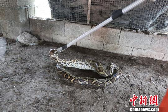 太阳成集团tyc