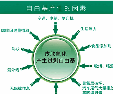 太阳成官网