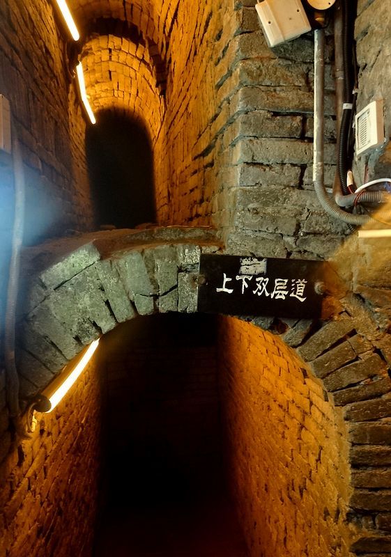 国足或变阵赵旭日搭档郑智 蔡振华张剑飞抵多哈|太阳成官网(图3) 太阳成官网