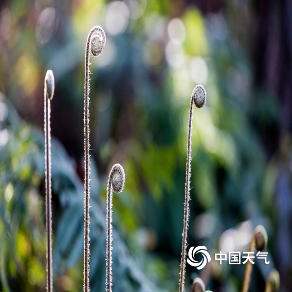 太阳成集团tyc